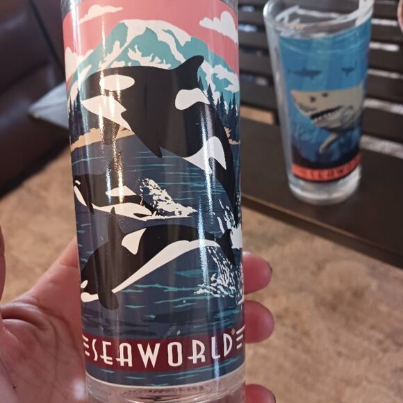 Set of Three 3 Sea World Pass Member Collectible 11 Ounce Glasses Tumblers 2009 - Picture 5 of 9